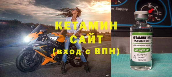 индика Бородино