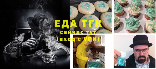 индика Бородино