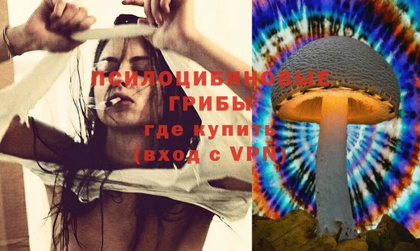 ГАЛЛЮЦИНОГЕННЫЕ ГРИБЫ Пролетарск