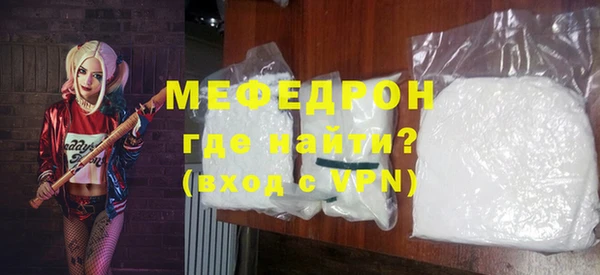 индика Бородино