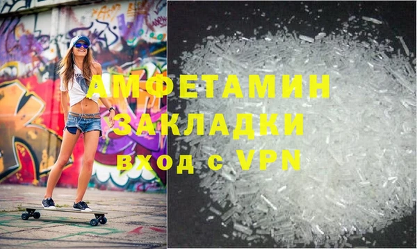 индика Бородино