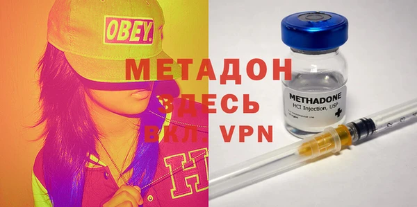 индика Бородино