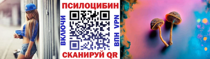 площадка официальный сайт  Будённовск  Галлюциногенные грибы мицелий 