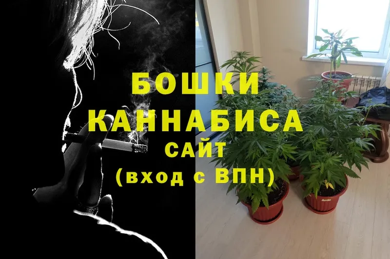 Каннабис Bruce Banner  это клад  Будённовск  что такое  