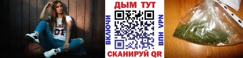 Конопля план Будённовск